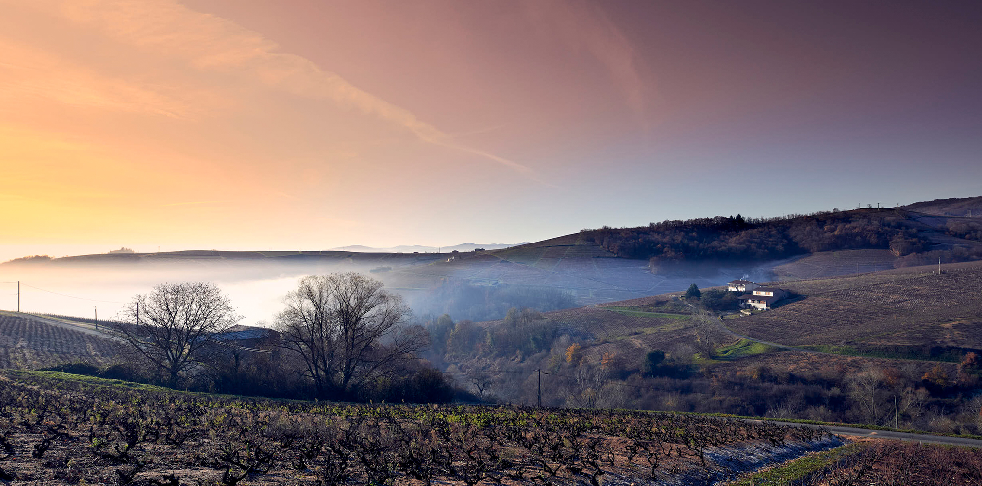 Chiroubles panorama levé de soleil